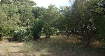 Toulon Terrain à bâtir - 1757205-649annonce220240105NhrlI.jpeg Maisons Open