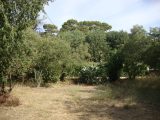  1757205-649annonce320240105K4if3.jpeg Maisons Open