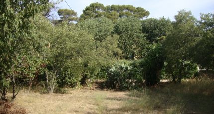 Toulon Terrain à bâtir - 1757205-649annonce320240105K4if3.jpeg Maisons Open