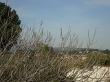  1778699-649annonce320240131bXSEM.jpeg Maisons Open