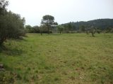  1819267-649annonce120240321XI5oD.jpeg Maisons Open