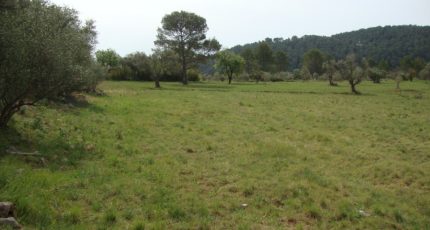 Cuers Terrain à bâtir - 1819267-649annonce120240321XI5oD.jpeg Maisons Open