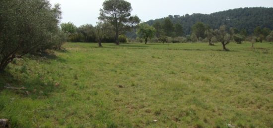 Terrain à bâtir à Cuers, Provence-Alpes-Côte d'Azur