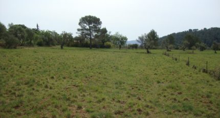 Cuers Terrain à bâtir - 1819267-649annonce220240321pIk4p.jpeg Maisons Open