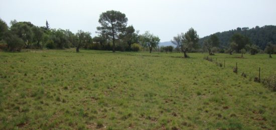 Terrain à bâtir à , Var