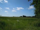  1765638-961annonce120240115CBxRg.jpeg Maisons Open