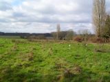  1791931-961annonce120240216i1vL6.jpeg Maisons Open
