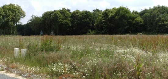 Terrain à bâtir à Toutlemonde, Pays de la Loire