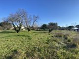  1761225-609annonce120240110D3xWz.jpeg Maisons Open