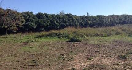 Domazan Terrain à bâtir - 1795895-609annonce120240222PsZ7u.jpeg Maisons Open