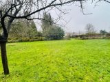 1756495-4496annonce1202401048PBnr.jpeg Maisons Open