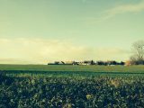  1768415-1691annonce120240118Glq54.jpeg Maisons Open
