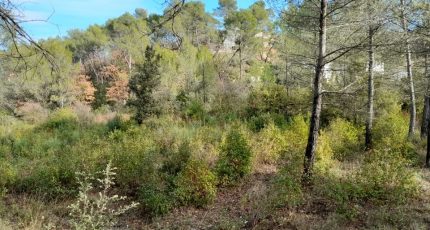 Brignoles Terrain à bâtir - 1762283-10744annonce120240111TBfUW.jpeg Maisons Open