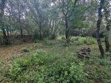  1762495-10744annonce220240111qsanw.jpeg Maisons Open
