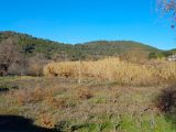  1763851-10744annonce120240112dg2lh.jpeg Maisons Open