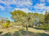  1788971-10744annonce120240212dp1f8.jpeg Maisons Open