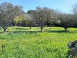  1814219-10744annonce220240315xfq2T.jpeg Maisons Open