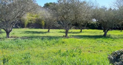 Brignoles Terrain à bâtir - 1814219-10744annonce220240315xfq2T.jpeg Maisons Open