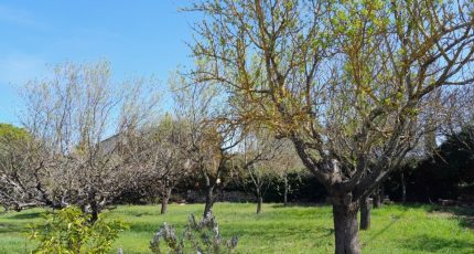 Brignoles Terrain à bâtir - 1814236-10744annonce120240315bvAJE.jpeg Maisons Open