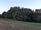  1733869-5202annonce320231123OAA9H.jpeg Maisons Open