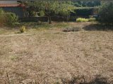  1749691-6172annonce120231218myxCD.jpeg Maisons Open