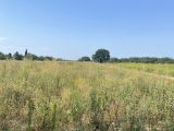  1759203-6172annonce220240108vp9in.jpeg Maisons Open