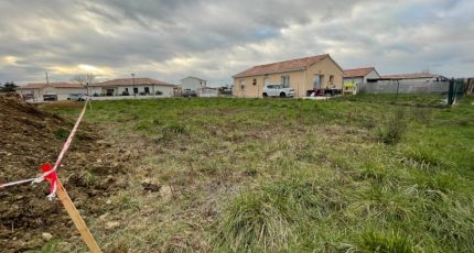 Montastruc-la-Conseillère Terrain à bâtir - 1770346-10420annonce420240119ThLXq.jpeg Maisons Open