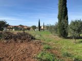  1797700-3243annonce120240222RsexH.jpeg Maisons Open