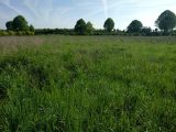  1733118-10730annonce12023112208p1m.jpeg Maisons Open