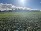  1792290-10222annonce420240216EvQxA.jpeg Maisons Open