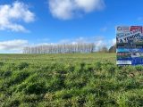  1792322-10222annonce120240216RgTNl.jpeg Maisons Open