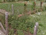  1800977-6159annonce220240228DRCLf.jpeg Maisons Open