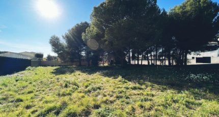 Bouzigues Terrain à bâtir - 1815075-3243annonce220240315gRrP6.jpeg Maisons Open