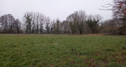 Teloché Terrain à bâtir - 1738698-5651annonce22023071857eTR.jpeg Maisons Open