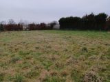  1783321-3704annonce120240205Z7X7t.jpeg Maisons Open