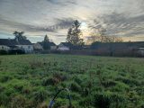  1790276-3704annonce120240214uWWKW.jpeg Maisons Open