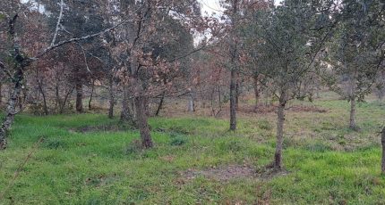 Bagnols-en-Forêt Terrain à bâtir - 1758130-10316annonce120240106Oiv1r.jpeg Maisons Open