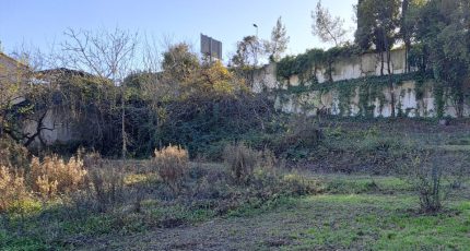 La Colle-sur-Loup Terrain à bâtir - 1782134-10316annonce520240203WgF1B.jpeg Maisons Open