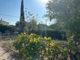  1789255-3701annonce120240213TFelo.jpeg Maisons Open