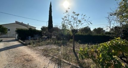 Puget-sur-Argens Terrain à bâtir - 1789255-3701annonce220240213wdDwy.jpeg Maisons Open