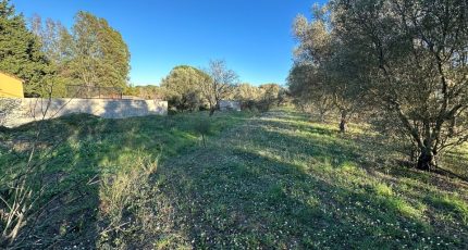 Roquebrune-sur-Argens Terrain à bâtir - 1789353-3701annonce2202402136xdqr.jpeg Maisons Open