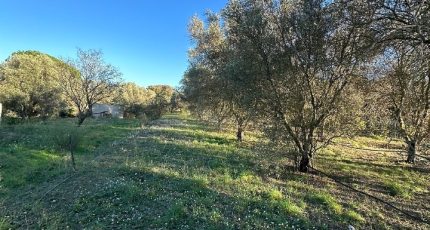 Roquebrune-sur-Argens Terrain à bâtir - 1789353-3701annonce320240213OiCKT.jpeg Maisons Open