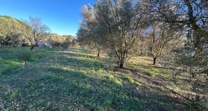 Roquebrune-sur-Argens Terrain à bâtir - 1789353-3701annonce120240213pGUGS.jpeg Maisons Open