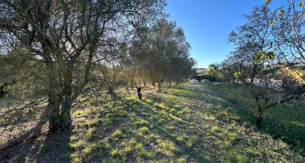 Roquebrune-sur-Argens Terrain à bâtir - 1789353-3701annonce42024021380y2J.jpeg Maisons Open