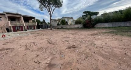 Puget-sur-Argens Terrain à bâtir - 1789692-3701annonce220240213ffTVz.jpeg Maisons Open