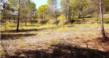 Bagnols-en-Forêt Terrain à bâtir - 1790010-3701annonce220240213rhBVO.jpeg Maisons Open
