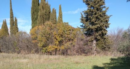 Manosque Terrain à bâtir - 1779441-9917annonce220240201T6RRV.jpeg Maisons Open