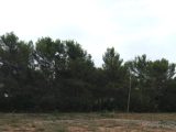  1780050-9917annonce420240201fnvfi.jpeg Maisons Open