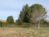  1798273-9917annonce220240226X1vmd.jpeg Maisons Open