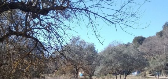 Terrain à bâtir à La Bastide-des-Jourdans, Provence-Alpes-Côte d'Azur